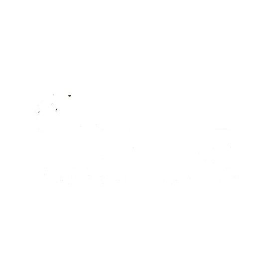 Orilia Gerardo Traslochi e Trasporti